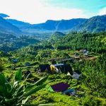 HIJAU