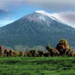 images (4)